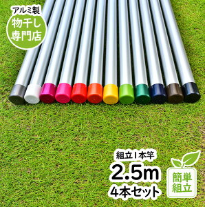 gg~̕ :2.5m 4{Zbg {̐F:VoF gݗĂƈ̌^1{ KтȂA~ vȏ 32pC V䂩̕  O x_E