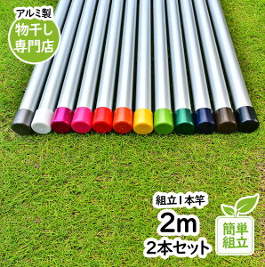 gg~̕ :2m 2{Zbg {̐F:VoF gݗĂƈ̌^1{ KтȂA~ vȏ 32pC  O zXN[ x_EbhfbL