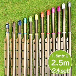 gg~̑gݗĎ LknK[|t 2{Zbgi:1.6m2.5m܂ŐLтj{̐F:uYF x_  O Ő󕨂Ȃ x_EbhfbLɍœK 