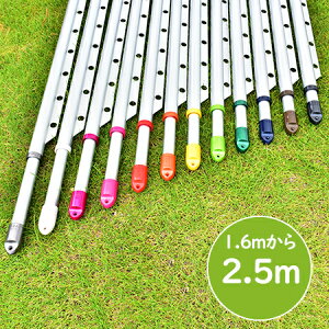 gg~̑gݗĎ LknK[|t i:1.6m2.5m܂ŐLтj{̐F:Vo[F x_  O Ő󕨂Ȃ x_EbhfbLɍœK 킢