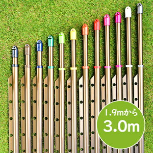 gg~̕ gݗĎ LknK|t (:1.9m3.0m܂ŐLт){̐FFuYF KтȂA~ nK|tŕŐ󕨂Ȃ  OŁy{