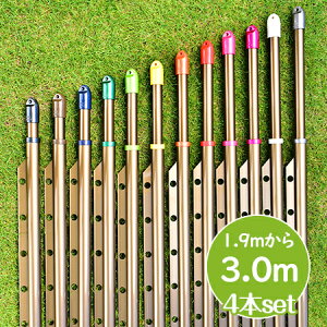 gg~̕ gݗĎ LknK|t 4{Zbg(:1.9m3.0m܂ŐLт){̐FFuYF KтȂA~ nK|tŕŐ󕨂Ȃ  O