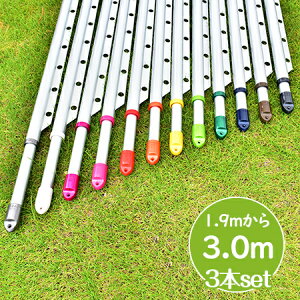 gg~̕ gݗĎ LknK|t 3{Zbg(:1.9m3.0m܂ŐLт){̐FFVoF KтȂA~ nK|tŕŐ󕨂Ȃ  OŁy