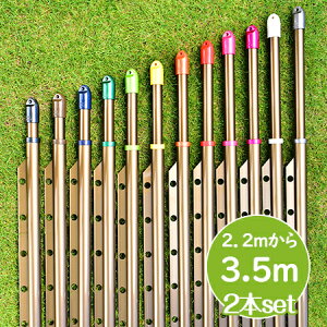 gg~̕ gݗĎ LknK|t 2{Zbg(:2.2m3.5m܂ŐLт){̐FFuYF KтȂA~ nK|tŕŐ󕨂Ȃ  O