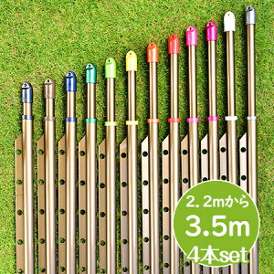 gg~̕ gݗĎ LknK|t 4{Zbg(:2.2m3.5m܂ŐLт){̐FFuYF KтȂA~ nK|tŕŐ󕨂Ȃ  O