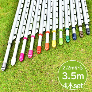 gg~̕ gݗĎ LknK|t 4{Zbg(:2.2m3.5m܂ŐLт){̐FFVoF KтȂA~ nK|tŕŐ󕨂Ȃ  OŁy