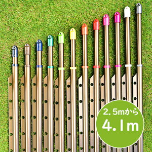 gg~̕ gݗĎ LknK|t(:2.5m4.1m܂ŐLт){̐FFuYF KтȂA~ nK|tŕŐ󕨂Ȃ  OŁy{