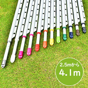 gg~̕ gݗĎ LknK|t (:2.5m4.1m܂ŐLт){̐FFVoF KтȂA~ nK|tŕŐ󕨂Ȃ  OŁy{