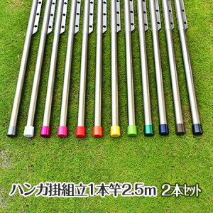 トヨトミの組み立て ハンガー掛け付き物干し竿 2本セット 長さ:2.5m 本体色:シャンパンゴールド色 組立てると一体型の1本竿になるハンガー掛け付き竿 錆びないアルミ合金 風で洗濯物が寄ら