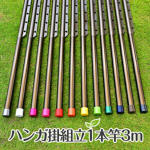 トヨトミの物干し竿 ハンガー掛け付き 3m ブロンズ 組立て式の1本物ハンガー掛け付き竿 サビない アルミ物干し 太さ32パイ×3mブロンズ色 屋外 屋内 ベランダに最適な ものほし竿 洗濯ざお【