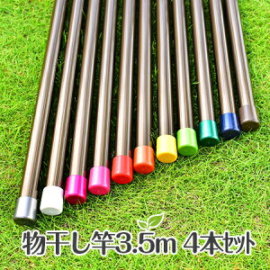  4{Zbg TrȂ A~  30pC×3D5muYF 1{ 1{ XeX ɖFł y{zyЖÉHꐻiz