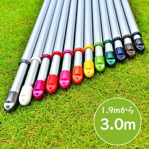 gg~̕ gݗĎ Lkۊ (:1.9m3.0m܂ŐLт){̐FFVoF KтȂA~ V䂩Ƃ镨@zXN[ɍœK  OŁy{