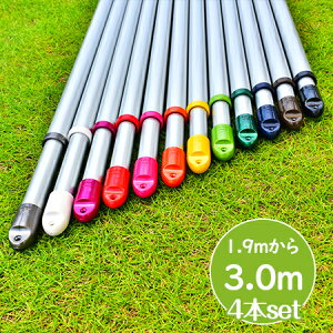 gg~̕ gݗĎ Lkۊ 4{Zbg(:1.9m3.0m܂ŐLт){̐FFVoF KтȂA~ V䂩Ƃ镨@zXN[ɍœK  O