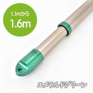 _X[p[SALE ^@gg~̕  LkۊƁi1D1m1D6m܂ŐLтj VpS[hF  XeXƂɖ݊  O Lbv̐F12FI