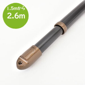 _X[p[SALE ^@gg~̕ Lkۊ (:1.5m2.6m܂ŐLт){̐FFubNF KтȂA~ V䂩Ƃ镨 zXN[ɍœKy{