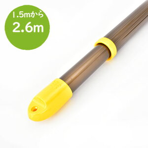 _X[p[SALE ^@gg~̕ Lkۊ 2{Zbg(:1.5m2.6m܂ŐLт){̐FFuYF KтȂA~ V䂩Ƃ镨 zXN[ɍœKy