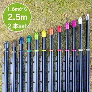 gg~̍ gݗĎ LknK[|t 2{Zbgi:1.6m2.5m܂ŐLтj{̐F:ubNF x_  O Ő󕨂Ȃ x_EbhfbL