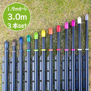 gg~̕ gݗĎ LknK|t 3{Zbg(:1.9m3.0m܂ŐLт){̐FFubNF KтȂA~ nK|tŕŐ󕨂Ȃ  O