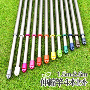 _X[p[SALE ^@gg~̕ Lkۊ 4{Zbg(:1.5m2.6m܂ŐLт){̐FFVpS[hF KтȂA~ V䂩Ƃ镨 zXN[