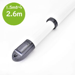 gg~̔Lk 3{Zbgi1.5m2.6m܂ŐLтj~L[zCgF ̓V䂩Ԃ牺镨zXN[ɂ҂  Lbv̐FIׂ 