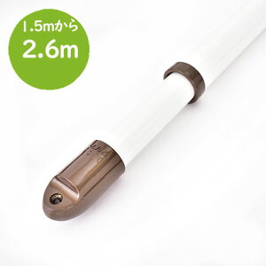 gg~̔Lk 4{Zbgi1.5m2.6m܂ŐLтj~L[zCgF ̓V䂩Ԃ牺镨 킢  Lk 12FLbv̐FIׂ K