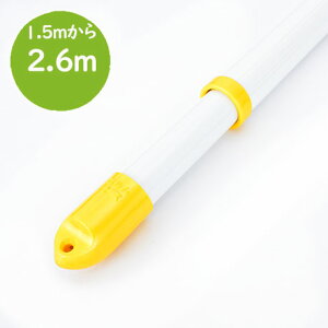 _}\ ^@gg~̔Lk 2{Zbgi1.5m2.6m܂ŐLтj~L[zCgF V䂩Ԃ牺镨 KтȂA~󂴂y{É