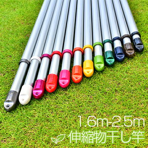 gg~̑gݗĎ Lk ۊƁi:1.6m2.5m܂ŐLтj{̐F:VoF x_  O V䂩݂邷 x_EbhfbLɍœK 킢󂴂 y