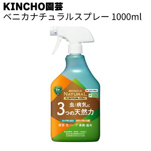KINCHO| (:ZFw|) EXv[ xjJi`Xv[EEۍ 3̓VRR