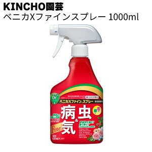KINCHO| (:ZFw|) EXv[ xjJXt@CXv[EEۍ EE} 1ʁ