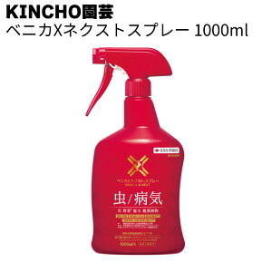 KINCHO| (:ZFw|) EXv[ xjJXlNXgXv[EEۍ EEE5ނ̐z