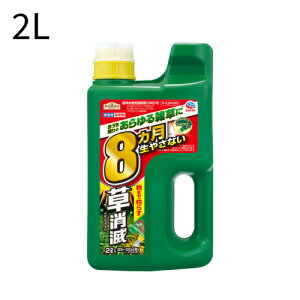 A[X  A[XJ}CY Ł8} 傤^CvEV[te큄