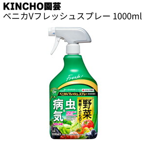 KINCHO| (:ZFw|j EXv[ xjJVtbVXv[EEۍ   EaC\h