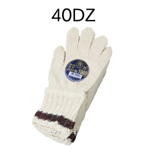 xm܍H R 1000-CF VȃJtXyz