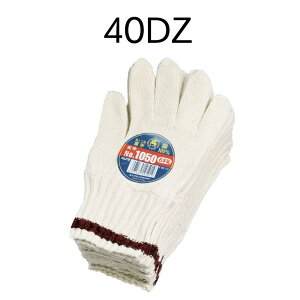 xm܍H R 1050VȃJtXԍyz