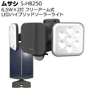 TV 6.5W×2 t[A[ LEDnCubh\[[Cg S-HB250O hƃZT[Cgyz