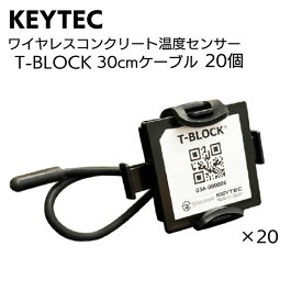 KEYTEC ワイヤレスコンクリート温度センサー T-BLOCK 30cmケーブル 20個セット＜コンクリートの硬化・温度・養生状態測定＞【送料無料】