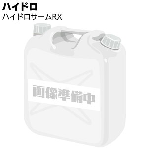 nCh nChT[ RX ̋pE\wی 2L 20Lyz