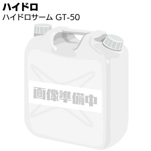 nCh nChT[ GT-50 zh~ 2L 20Lyz