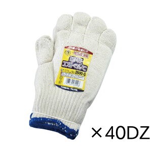 xm܍H R 2600-G ȓHꂮĒnҁyz