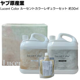 ヤブ原産業 ルーセントカラー レギュラーセット 7.5kg／箱＜プライマー トップコート 専用トナーセット 床用水性コンクリートステイン塗料＞【送料無料】●