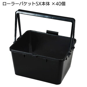 ˍѐ [[oPbgSX SX^ Zbg {̂̂ e 7C`ȉTCYpyz