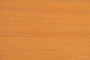 OcH@Y mbg N[ p ؍ފܐZh   h\ ؔ Fyz