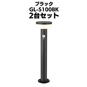 TV K[f\[[ZT[Cg2Wی^ GL-S100(BK/SV) 뉀 h oyz