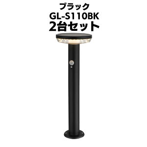 TV K[f\[[ZT[Cg5Wی^ GL-S110(BK/SV) 뉀 h oyz