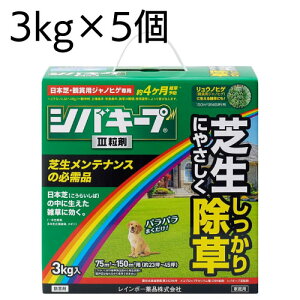 C{[i  VoL[vIII 3kg 4} ŐɐG͂炷Őp󏜑 ŐeiX