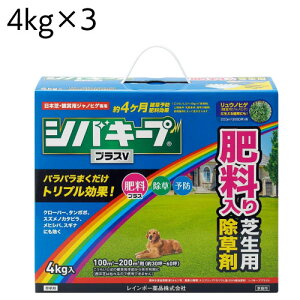 C{[i  VoL[vvXV 2kg 4kg 4} ŐɐG͂炷Őp󏜑 ŐeiX EG\hE엿̃gvʁ