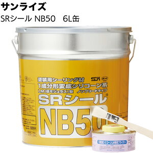 TCY SRV[ NB50 6Lʁmu[h 1`ϐVR[nV[O TCfBO{[h hdグyz