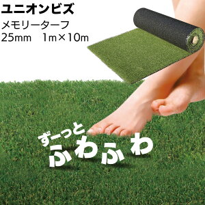 jIrY [^[t 25mm MT25-0110`LAlH x 1m 10m h΍  oRj[ x_ K[fjOyz