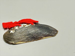 ACk  LiLkj5cm×10cm@300g CeA IuWF F21