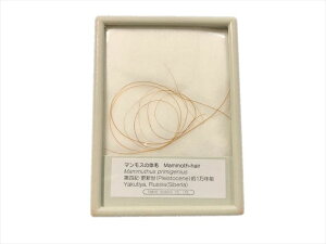 }X ̖  {  }X̖ }XW X͎  1NO }X W{  ђ}X VxA